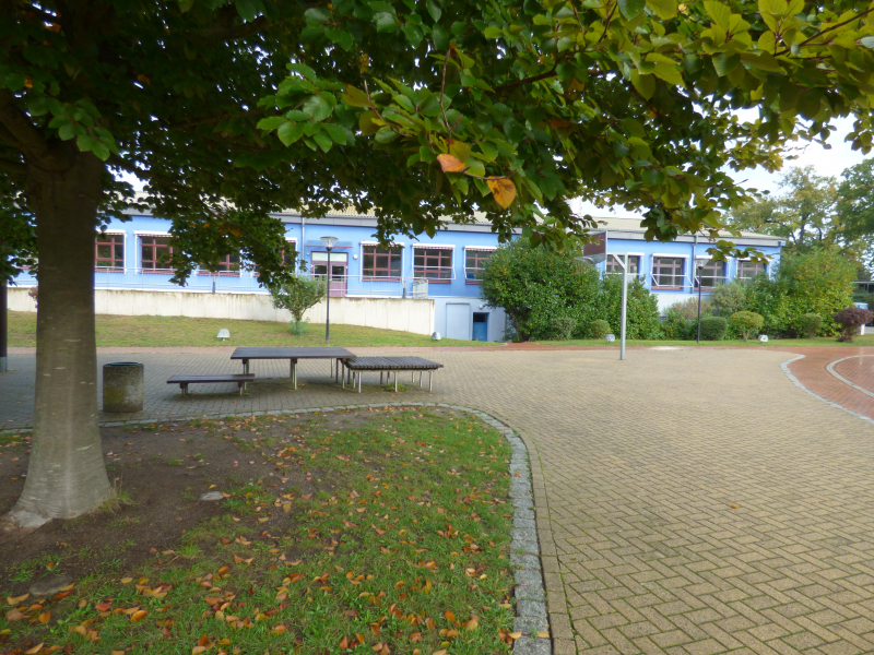 p1040150.jpg